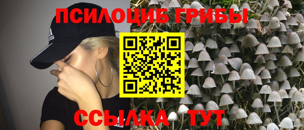 Псилоцибиновые грибы ЛСД  Галлюциногенные грибы Psilocybe  Борзя  Вход с VPN 
